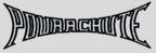 Powrachute
